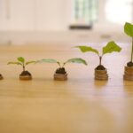 U.S. Regulators Propose Easing Capital Requirements to Boost Community Bank Lending