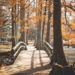 Top 10 Must-Visit U.S. Destinations for Unforgettable Fall Getaways in 2023