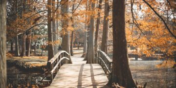 Top 10 Must-Visit U.S. Destinations for Unforgettable Fall Getaways in 2023