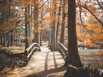 Top 10 Must-Visit U.S. Destinations for Unforgettable Fall Getaways in 2023