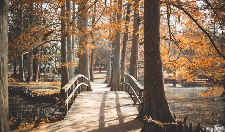 Top 10 Must-Visit U.S. Destinations for Unforgettable Fall Getaways in 2023