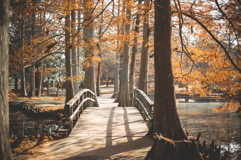 Top 10 Must-Visit U.S. Destinations for Unforgettable Fall Getaways in 2023