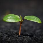 Rising Healthcare Costs: How to Navigate Your Insurance Options in 2023