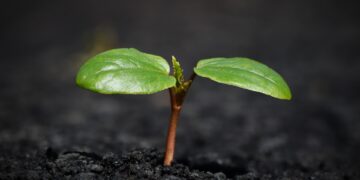 Rising Healthcare Costs: How to Navigate Your Insurance Options in 2023
