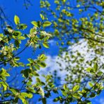 Protect Your Belongings: Why Renters Insurance is Essential for 2023