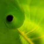 Revolutionizing Finance: How Order Flow Analysis is Transforming Market Trends Today
