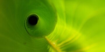Revolutionizing Finance: How Order Flow Analysis is Transforming Market Trends Today