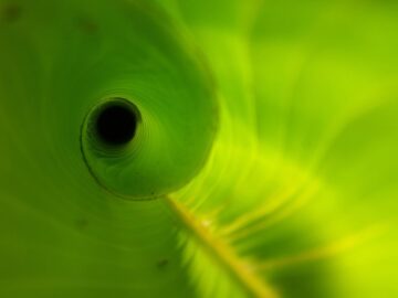 Revolutionizing Finance: How Order Flow Analysis is Transforming Market Trends Today